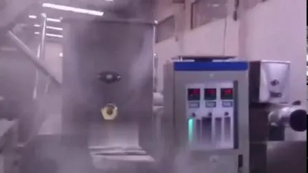 Chinese Multi-Function Non-Fried Puff Snack Processing Line