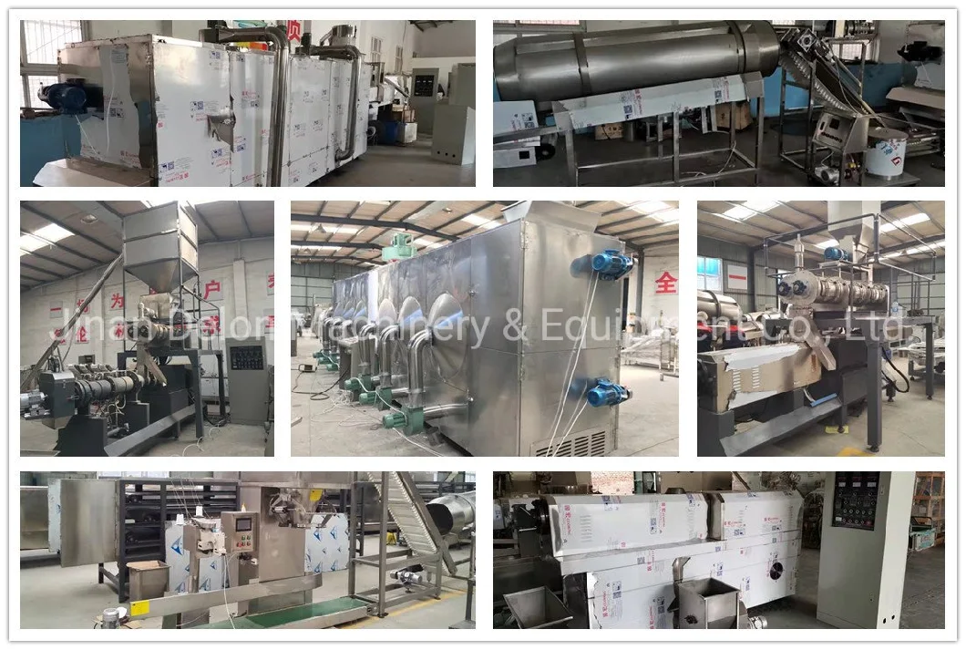 China Factory Animal Pet Dog Cat Floating Fish Feed Pellet Production Machine Snacks Food Processing Making Extrusion Line