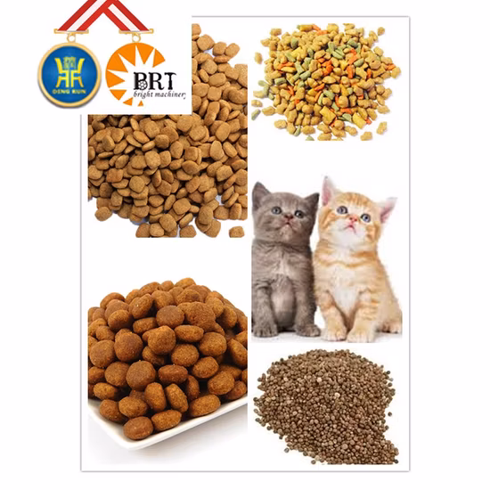 Máquina de producción de pellets de alimentación de peces flotantes para perros y gatos de fábrica de China, línea de extrusión para procesamiento de alimentos y aperitivos