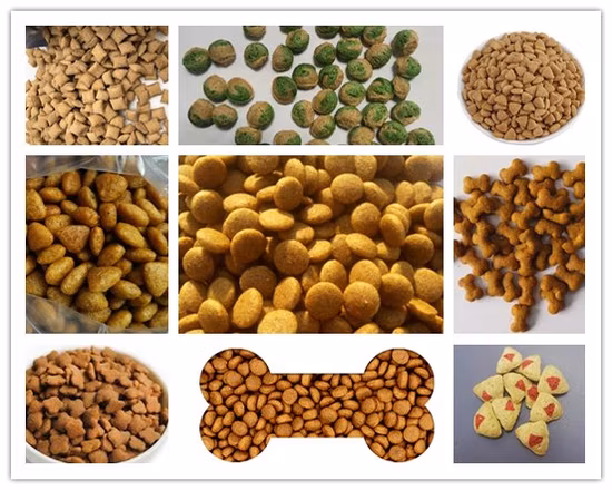 Máquina extrusora de procesamiento de alimentos flotantes para animales de plantas y gatos