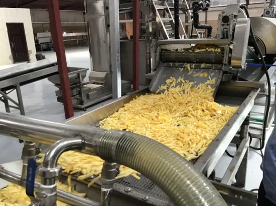 Línea de producción automática de papas fritas congeladas Freidora de papas fritas que hace la máquina para freír bocadillos