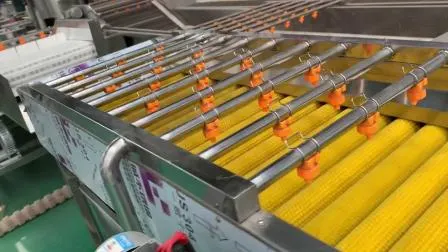 Línea de producción automática de freidora continua de nugget de pollo