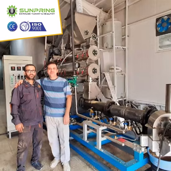 PRO Seco Húmedo Perro Mascota Gato Animal Pollo Hundimiento flotante Alimento para peces Máquina para fabricar pellets de alimentos Fabricante de molinos Equipo extrusor Granulador Línea de producción de procesamiento